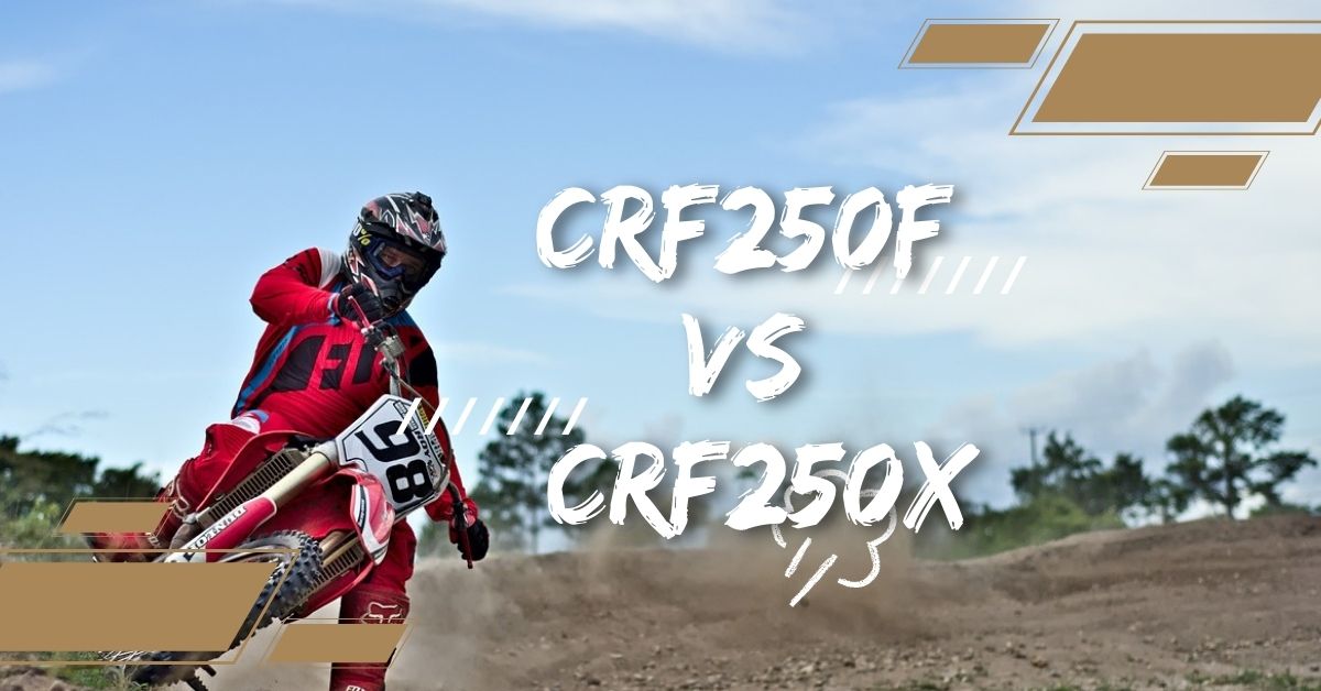 CRF250F vs CRF250X